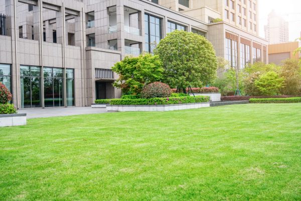 Exterior Property Maintenance