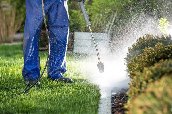 Curb Cleaning in Odessa