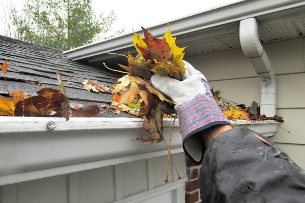Eaves Cleaning in Odessa