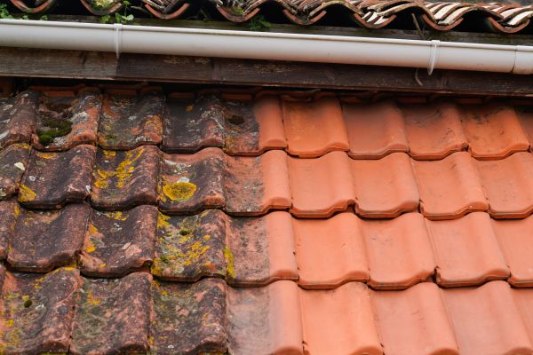 Industrial Roof Cleaning in Odessa