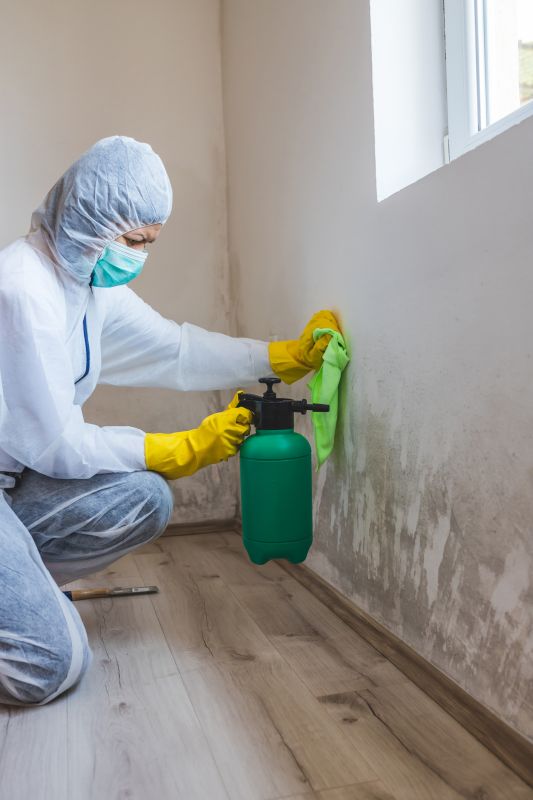 Stain and Mold Removal